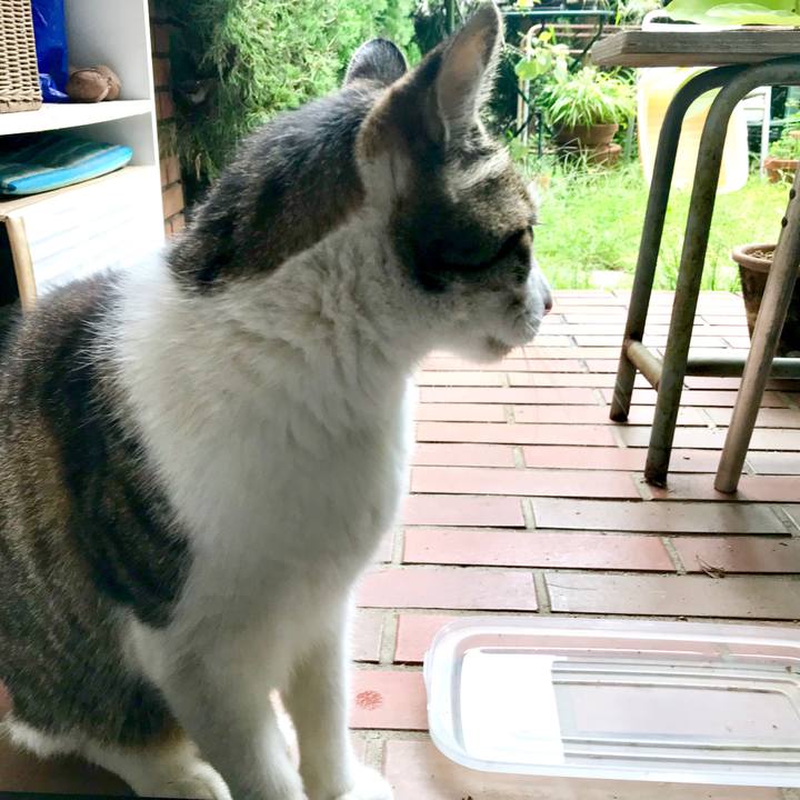 295caaf3 b197 4c1b a712 3f60db4d0ea9 1537410376849