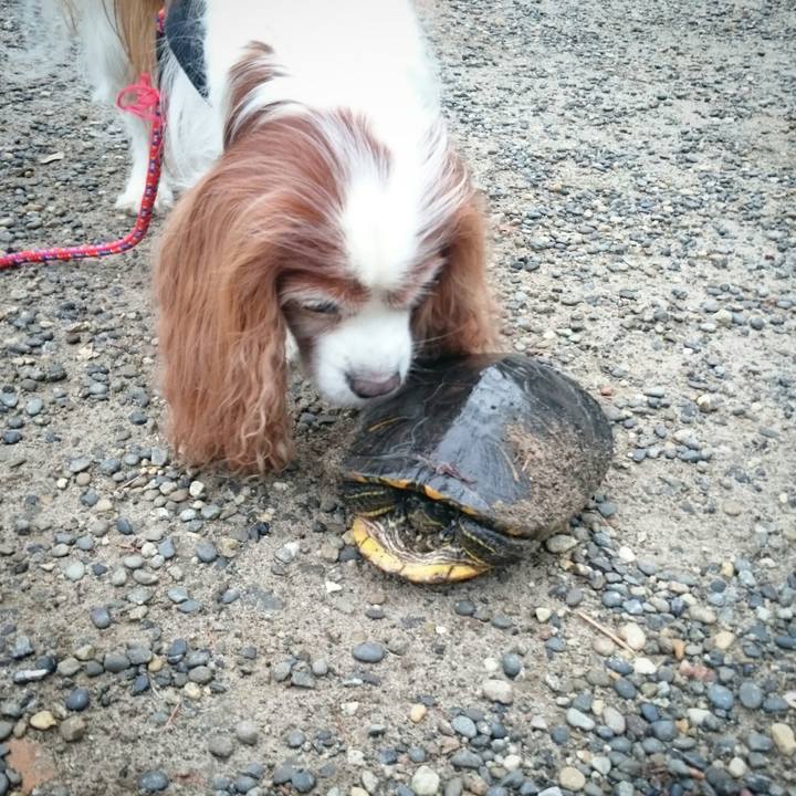 295cb119 d13a 4167 98e7 96c6f91e0292 1561287186073