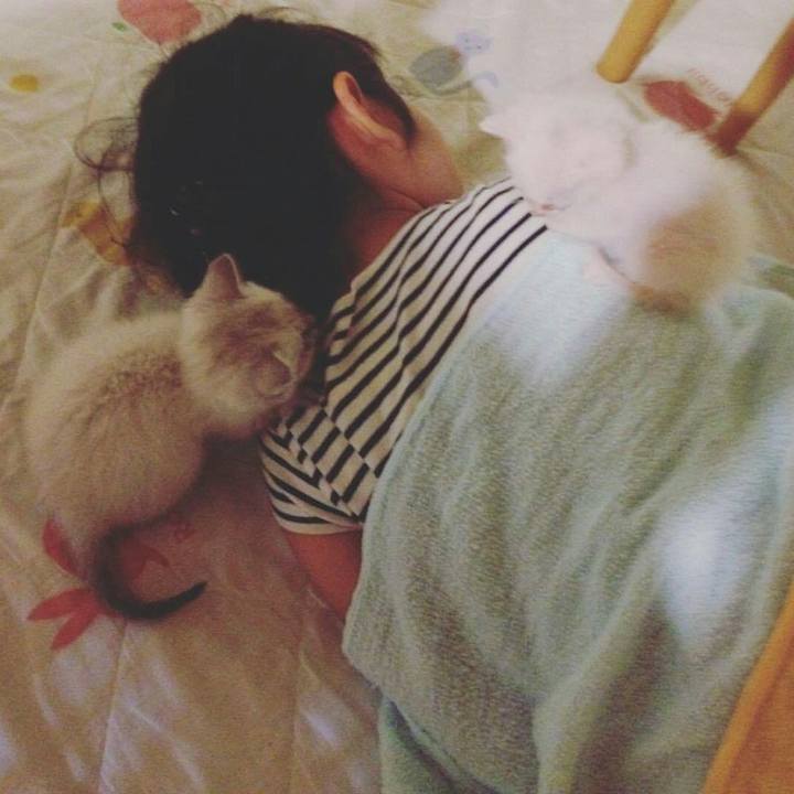 295cc53b c3a4 4fc9 8fd8 d06d52514971 1524322471101