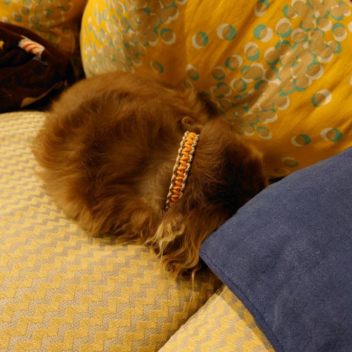 295ceace 6dde 4cce a976 10eb48c3cf1d 1701769093663