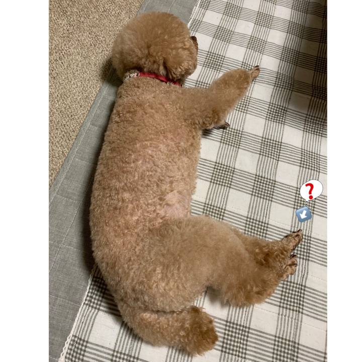 295cfbde 50a0 4bcf 952f 2b0b52a63a1c 1570185609236