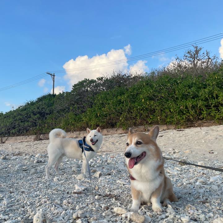 295d2be7 f94b 4975 90ae 3f616fb3b1ff 1663842000029