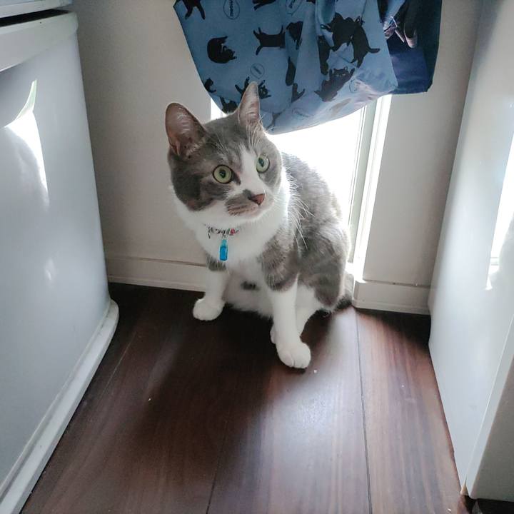 295d369f 0b4c 4f16 b18b 87482bfc31e9 1685170381340