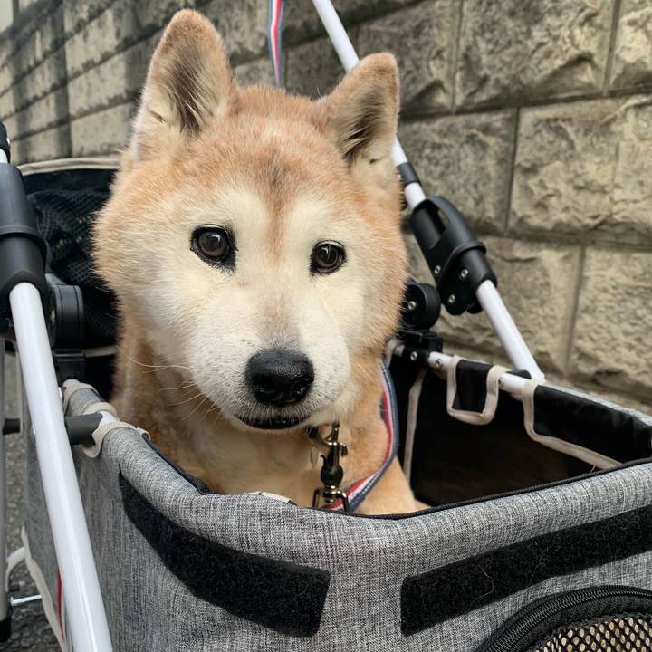 295d3bba a3d0 4be6 8744 d185c3978503 1697269112315