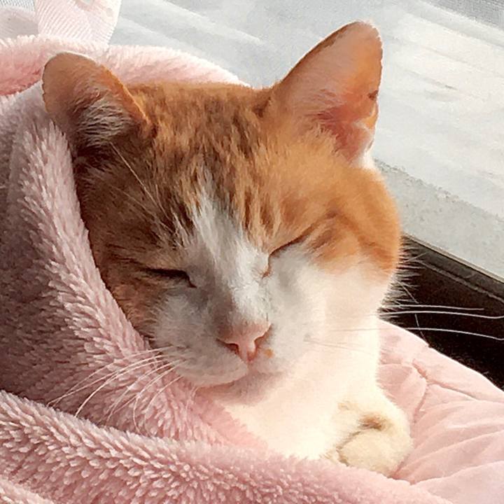 295d61a2 ffbd 4802 ae08 af2e2a7f90b8 1576655917418