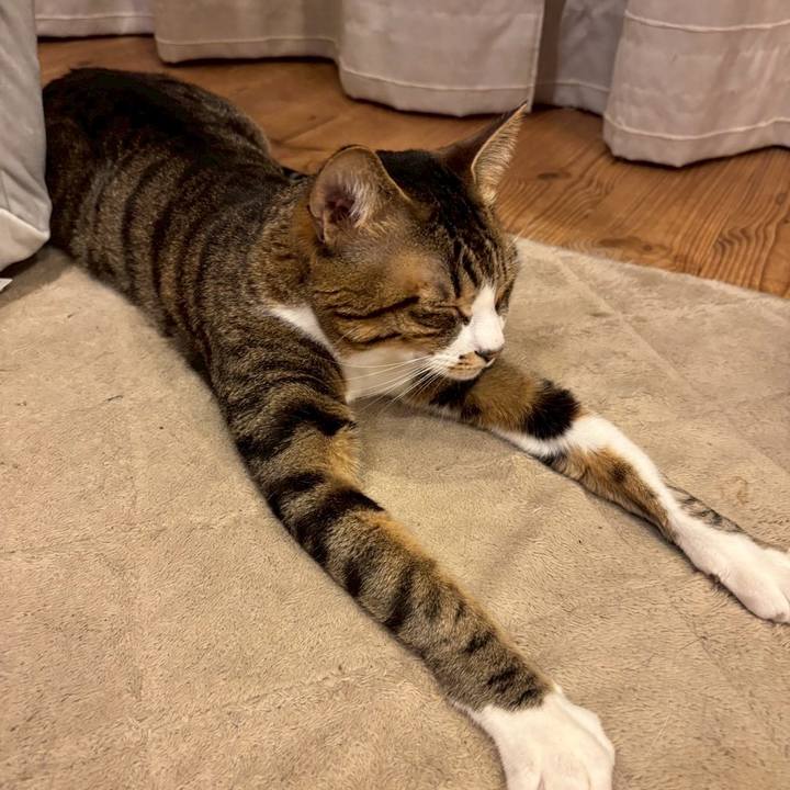 295d7ad2 823f 4337 9bb2 e5fffba111e1 1764151050539