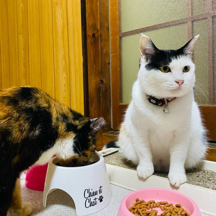 295d8895 979e 4333 85be e2b3a836faf4 1661720517485