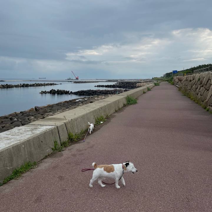 295dcbbb 99c4 4e9b b0d4 d7bc88b7635a 1624490075970