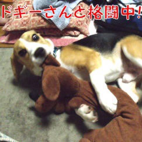 295df71e 938e 4457 b781 a45ab7132b07 1689467185391