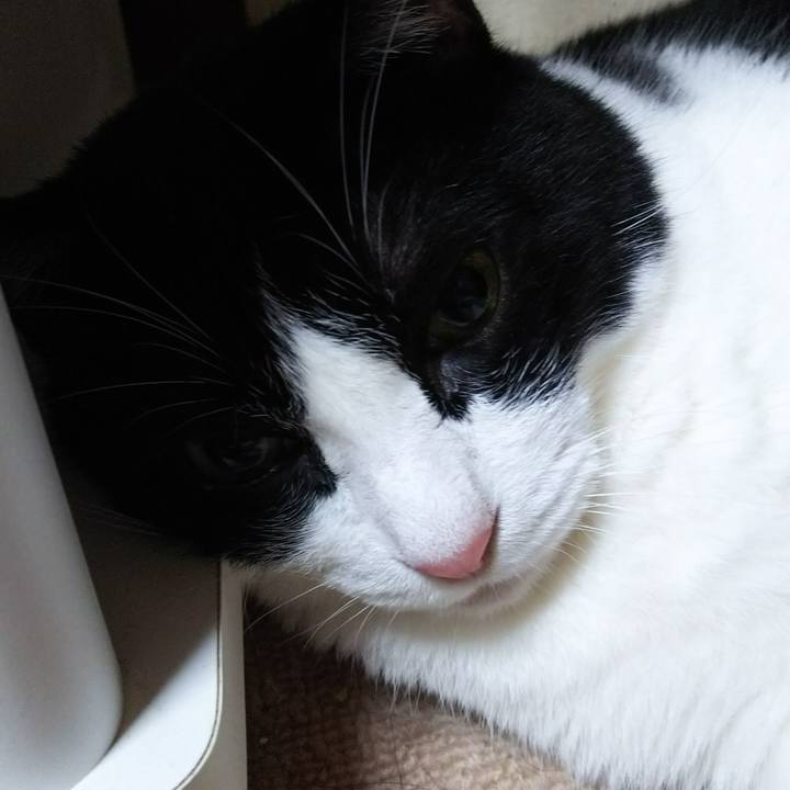 295e1d51 81ba 4d8b 8f47 0f2f4c946c39 1538812884421