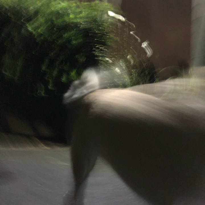 295e218c 6e89 4e37 9bc7 b49307949046 1600343550711