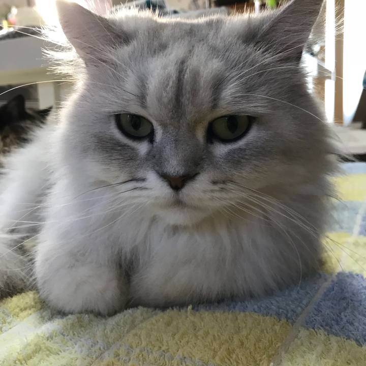 295e3c34 370b 46a9 982f 9caab9deea00 1509403211492