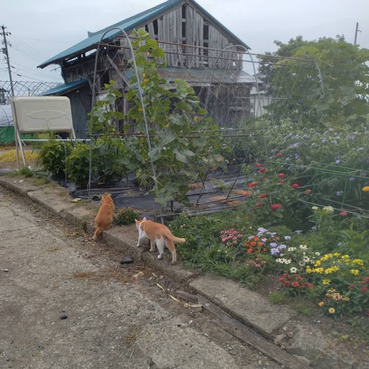 295e5155 6db7 4b2b be91 cfde35d820a0 1751666550184