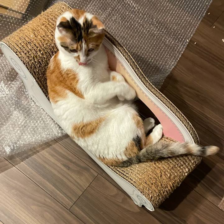 295e5686 2375 48d2 ab3b 3332803d9bff 1619444605201