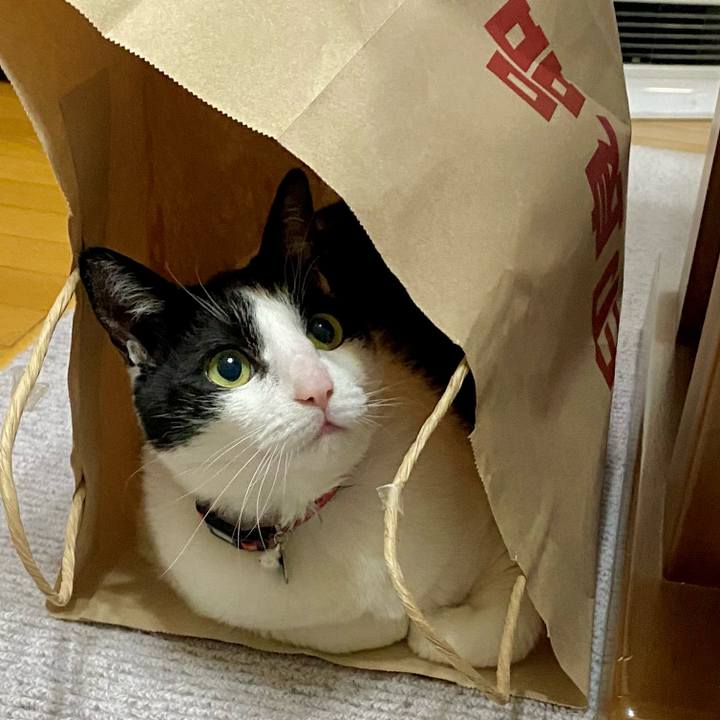 295e989d b0be 400a 9b0c 7b1bb3495949 1737776914544