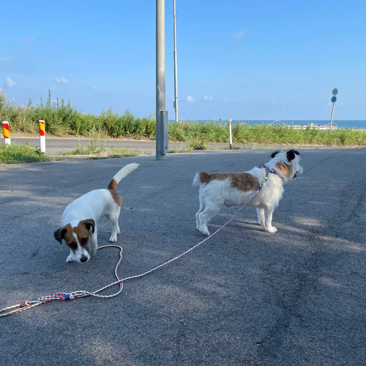 295ec218 5597 4288 a665 022b9a8f7c49 1630192118644