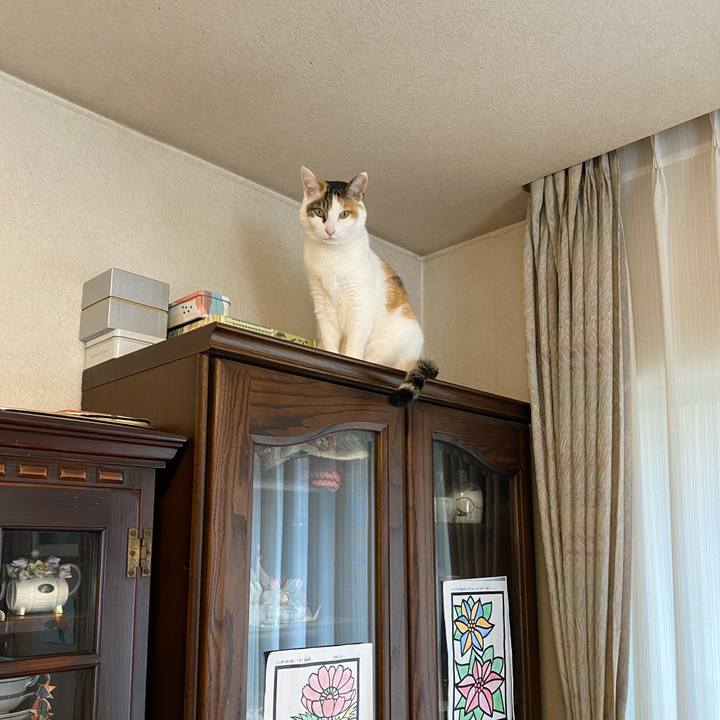 295ed391 8980 47ac 8aa4 62ccb1eff7e2 1770691115733