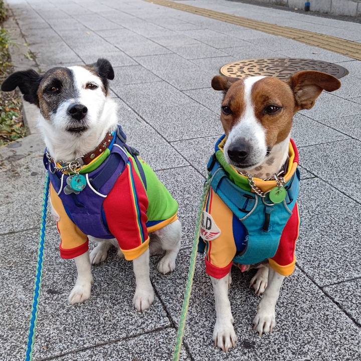 295eee0a 646e 4a3d bfd4 567c6d7ada4e 1637362531036