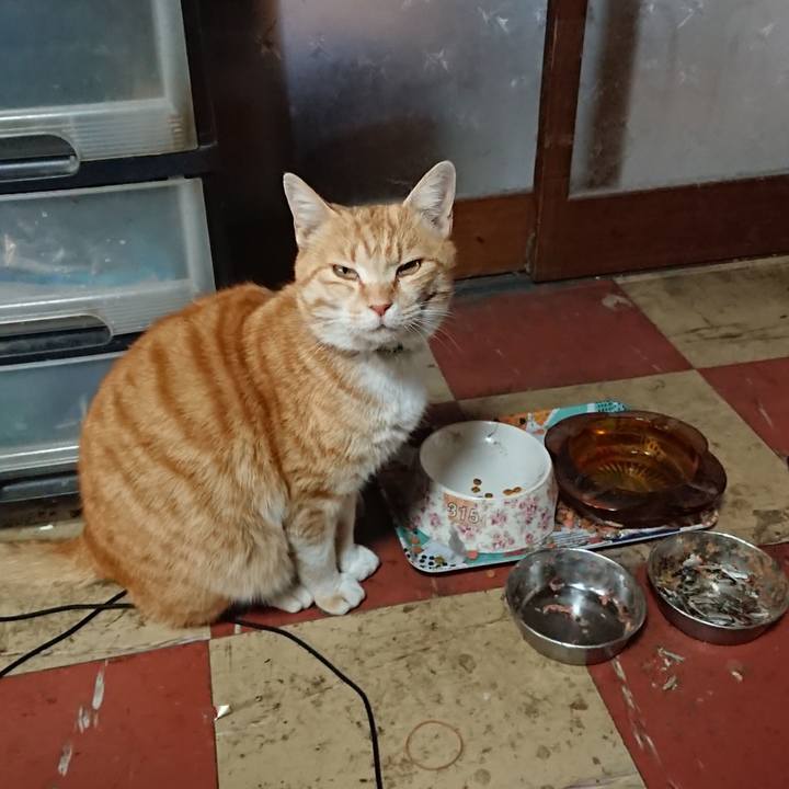 295f1aed 29d2 4367 bf86 c05a1b5b6587 1586073391776