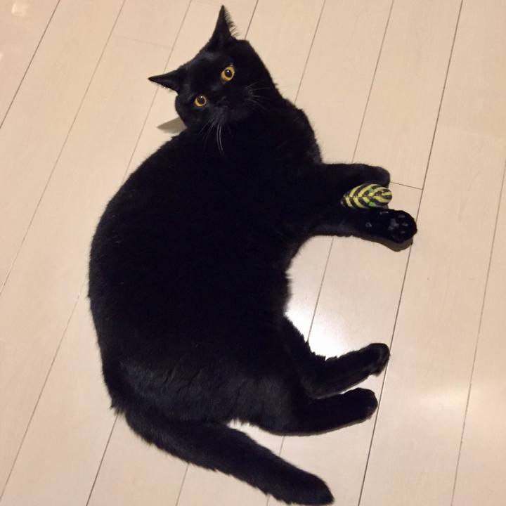 295f441d cf97 47a0 af73 415f05675e93 1566048330030