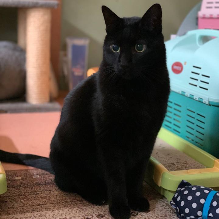 295f6065 fc34 44d4 8dd6 a7dc022097a3 1581036963409