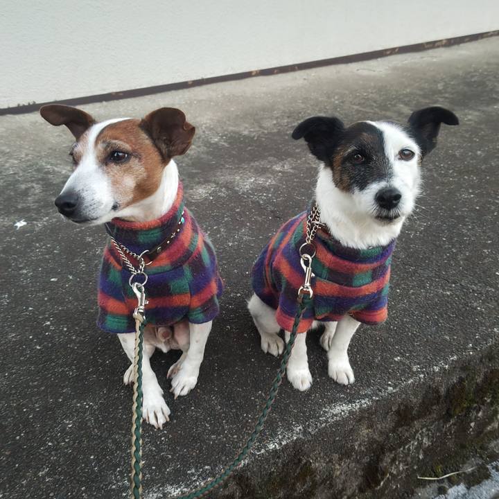 295f6280 1411 4402 8498 1117109e7532 1769292278528