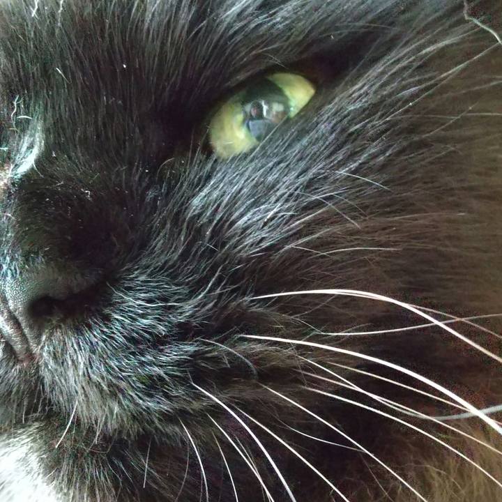 295f6c16 3dcf 46dd 917f 37466adab5b4 1625726267877