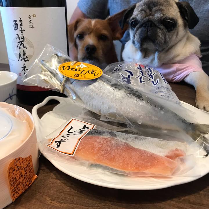 295f6d85 404d 43b5 9cad dba6674054fa 1566471548873