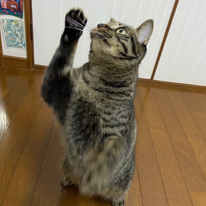 295f8383 5811 43a7 82bb e8d24eb7575e 1635333265875