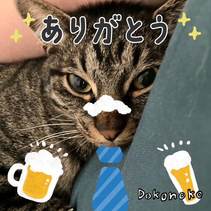 295fb5bf 1bb2 4b6d 87ff d39f82fa31cb 1717722124906