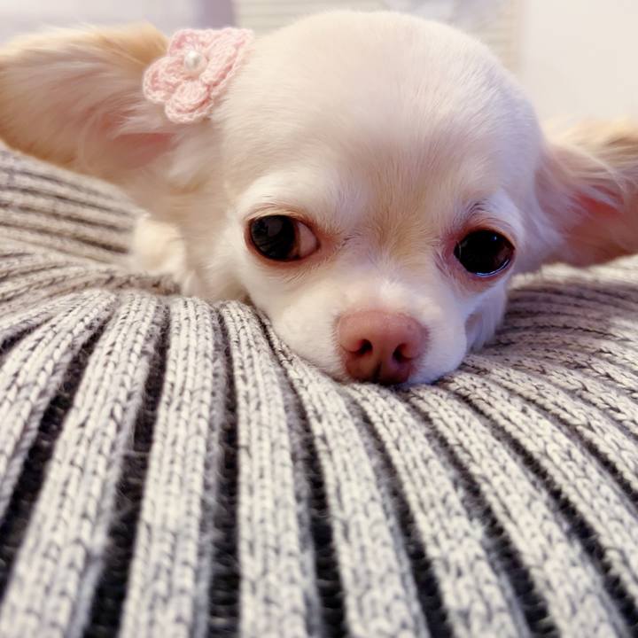 295fc681 236f 46e8 b066 ac02070504ff 1695386059718