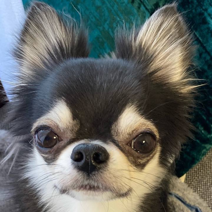 295fdd6d 655f 406f 95aa 7b47d714e664 1640473883229