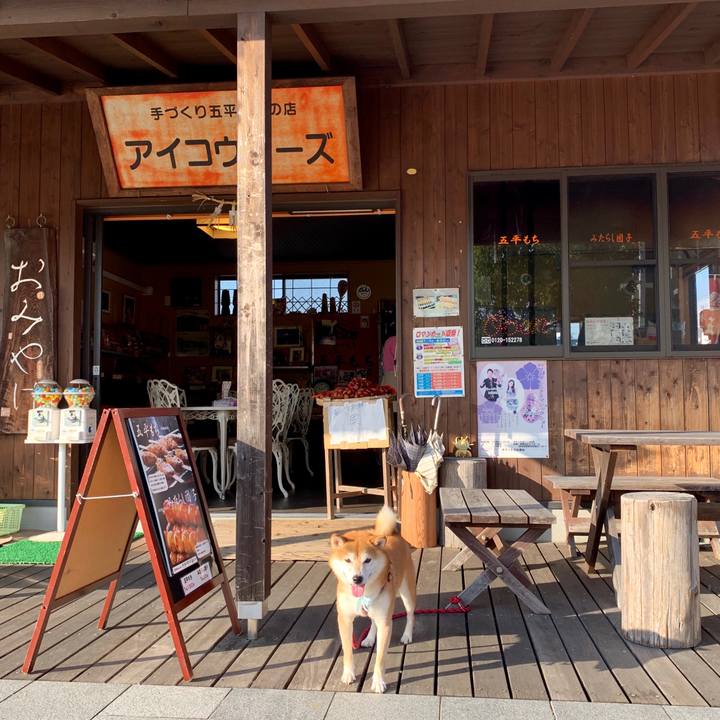 295ff29e 7a23 440a a746 01f01de4ce53 1569489565689