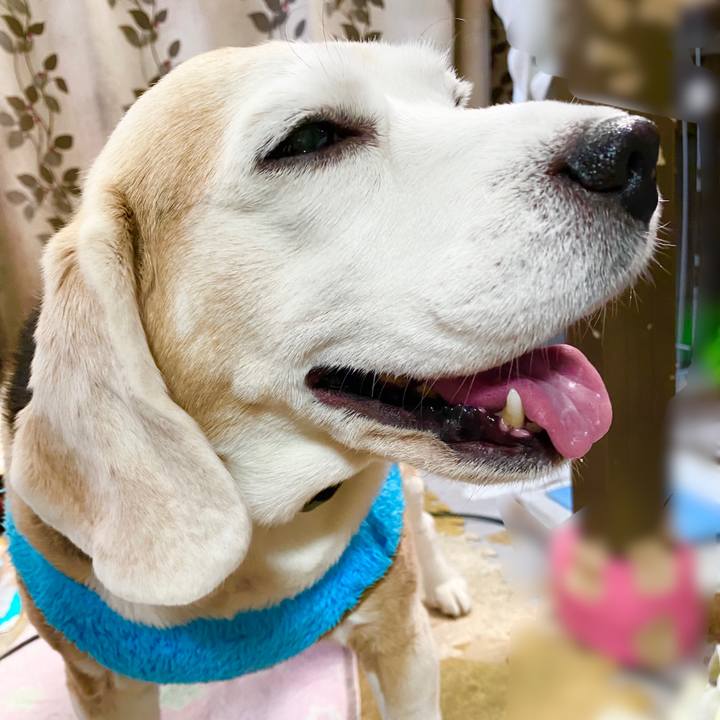 295ffc45 a469 4e64 8efe 64f691064320 1641619784405