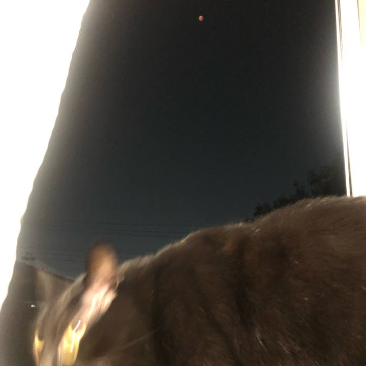 29605c82 9b60 48a7 90d4 b429ce98f6b6 1667992654506