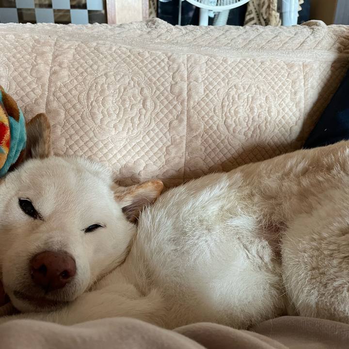 2960d550 8056 4706 82f1 4dfc6226a5a3 1648620133848