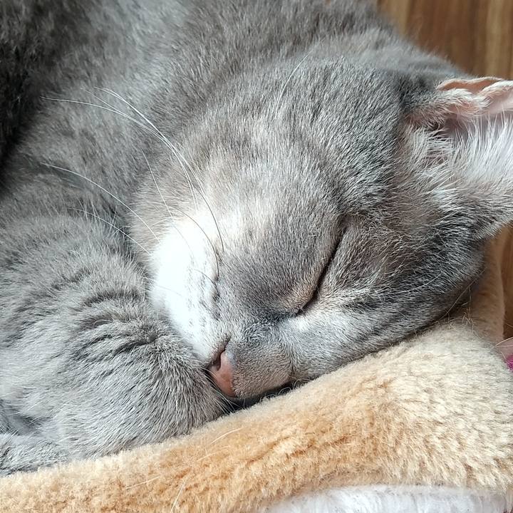 2960ec69 df2c 4936 b673 670f05948c17 1665199500931