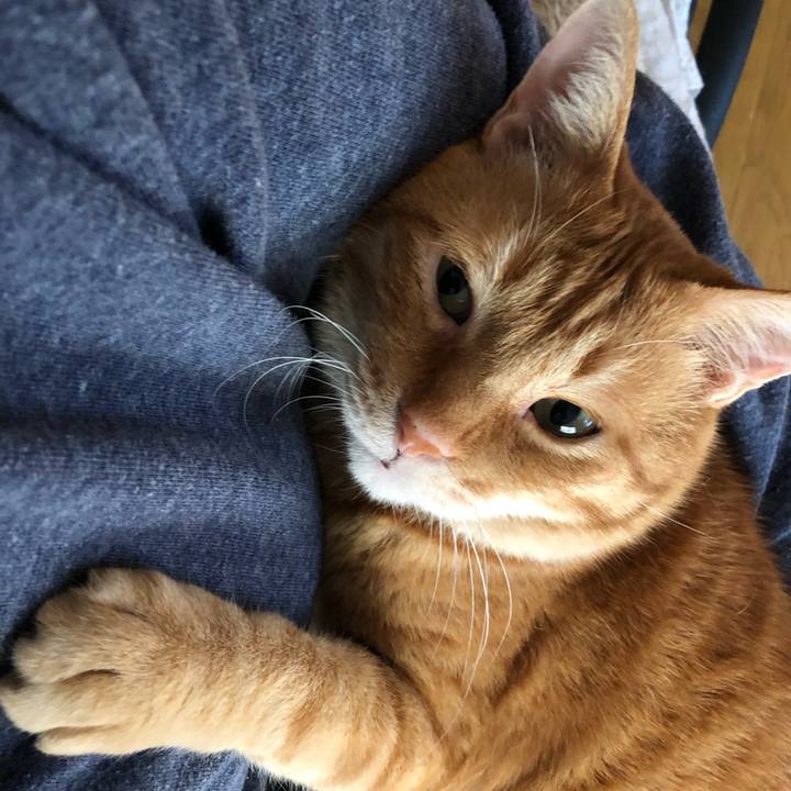 2960f2a5 bf51 4aeb 8282 89dc28e1167b 1616796824085