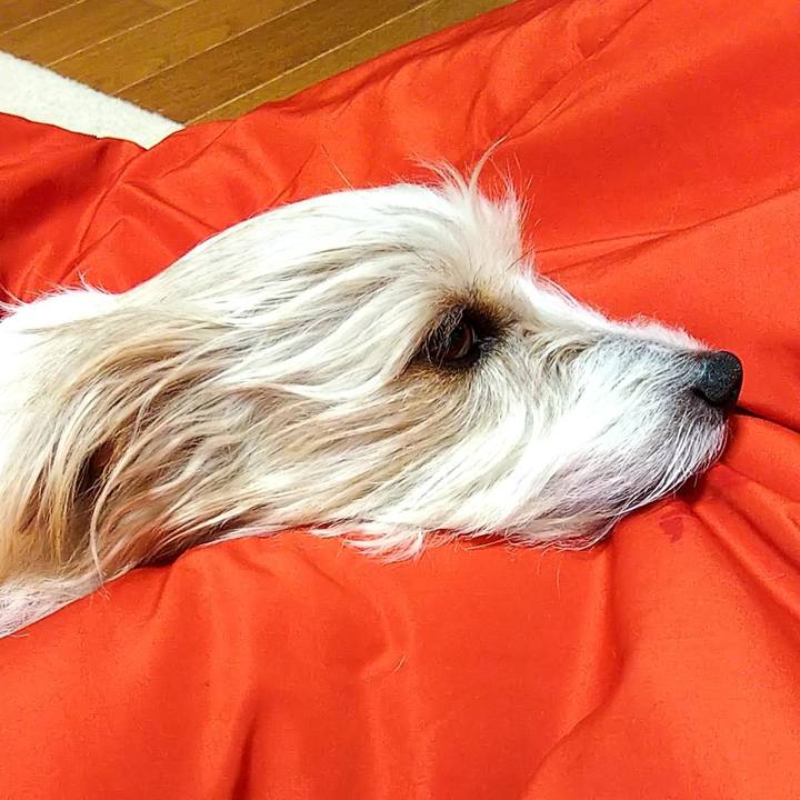 2960ff68 98aa 4305 bba0 9649cffbc5f7 1550929635852