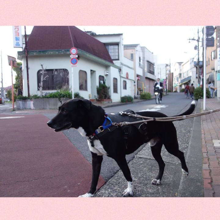 29610f99 3394 4f1a 9906 3a5f49e169ad 1649759621502