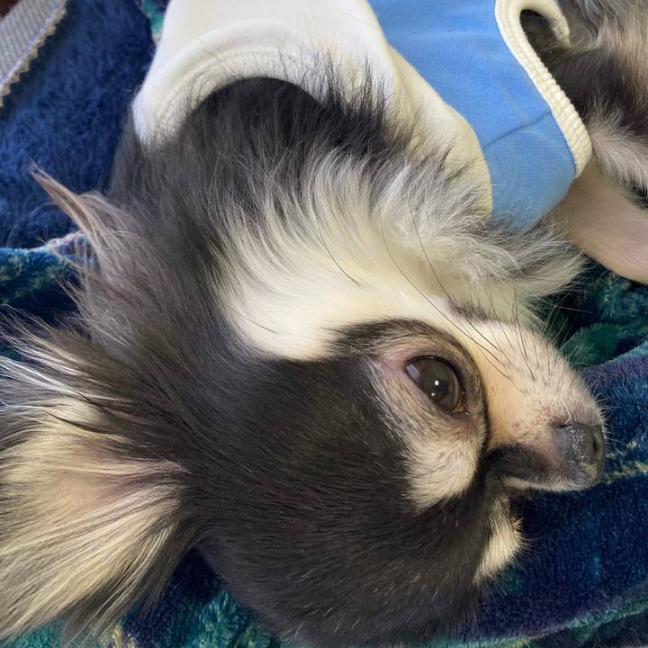 29611e5e 5477 465d b6bf b9ac97e0839c 1644036674643