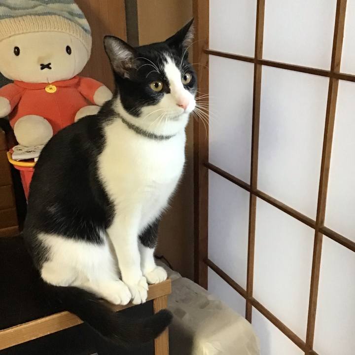 2961351e f072 4f32 8f0b 485390e8a846 1640214413918