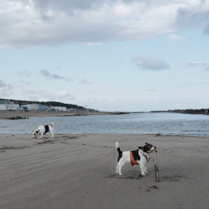 296151a6 df96 48a6 bee5 e95149c11da8 1554091068024