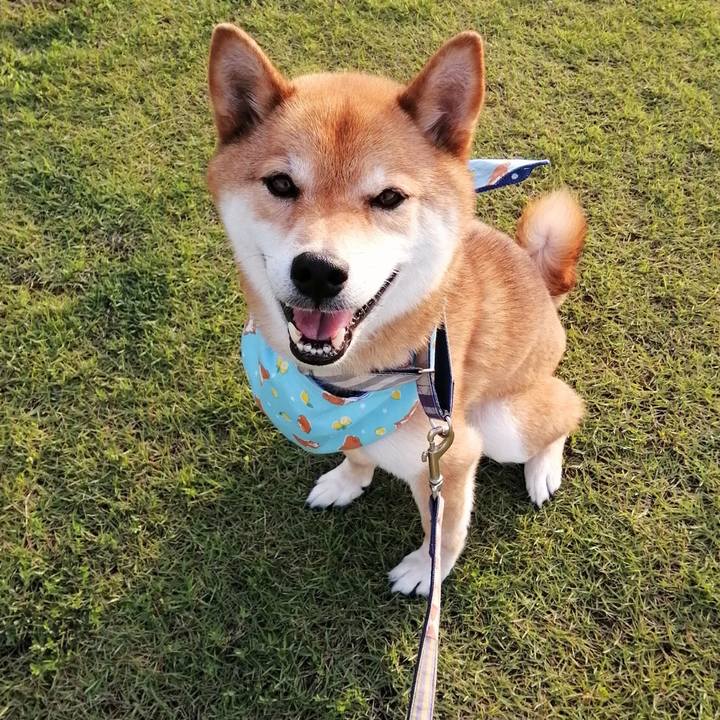 296164df 630d 43e5 acde 1f1bc7b7e58a 1593424402232