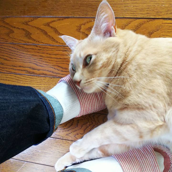 2961a3f0 a60f 406e bdb6 4f70bca7355b 1632877018414