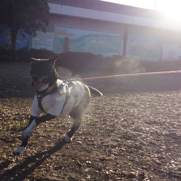 2961a94c 2972 47a1 9d1f 3d917988da8f 1704762110240