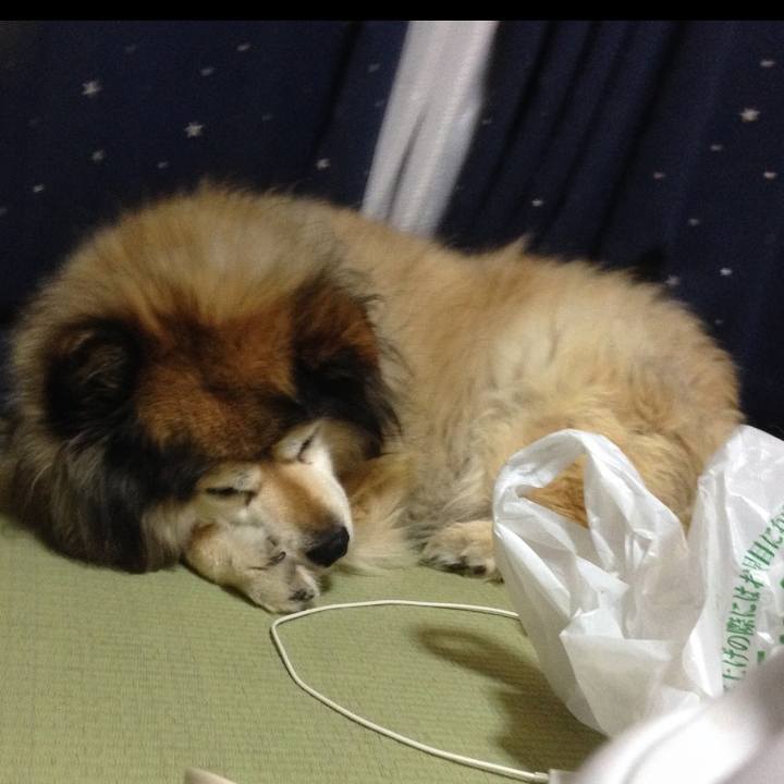 2961be4b 557c 49df 9f0b 7413a13644f1 1662212140011