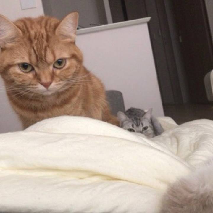 2961c696 6f49 45fa b585 a800767de9a7 1550968193142