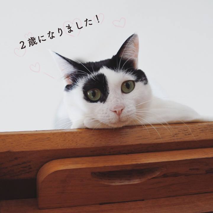 2961e7b9 00e9 41dd 946b faeb2b1955c3 1534389822019