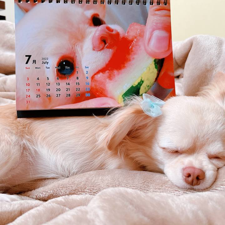 296211a6 e469 4bd3 80e4 e67ab5f24b22 1656641449912